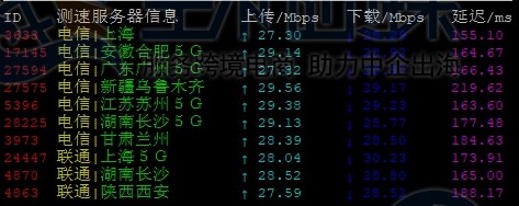Megalayer美国服务器
